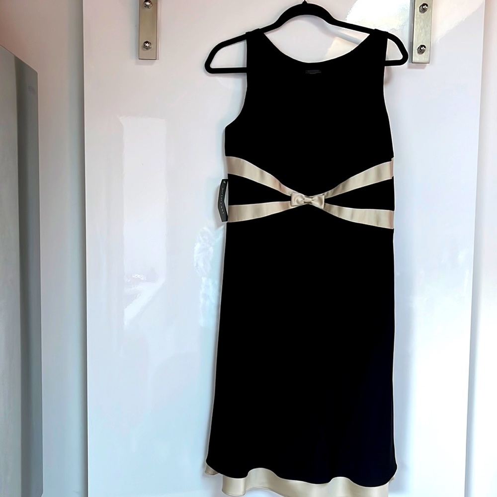 Ann Taylor black and creme dress